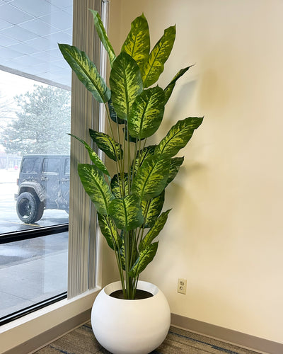 A tall, lush artificial plant with broad green leaves featuring yellow variegation is elegantly placed in a sleek, round white pot. Positioned next to a cozy white armchair, this setup adds a fresh and vibrant touch to the room's decor.