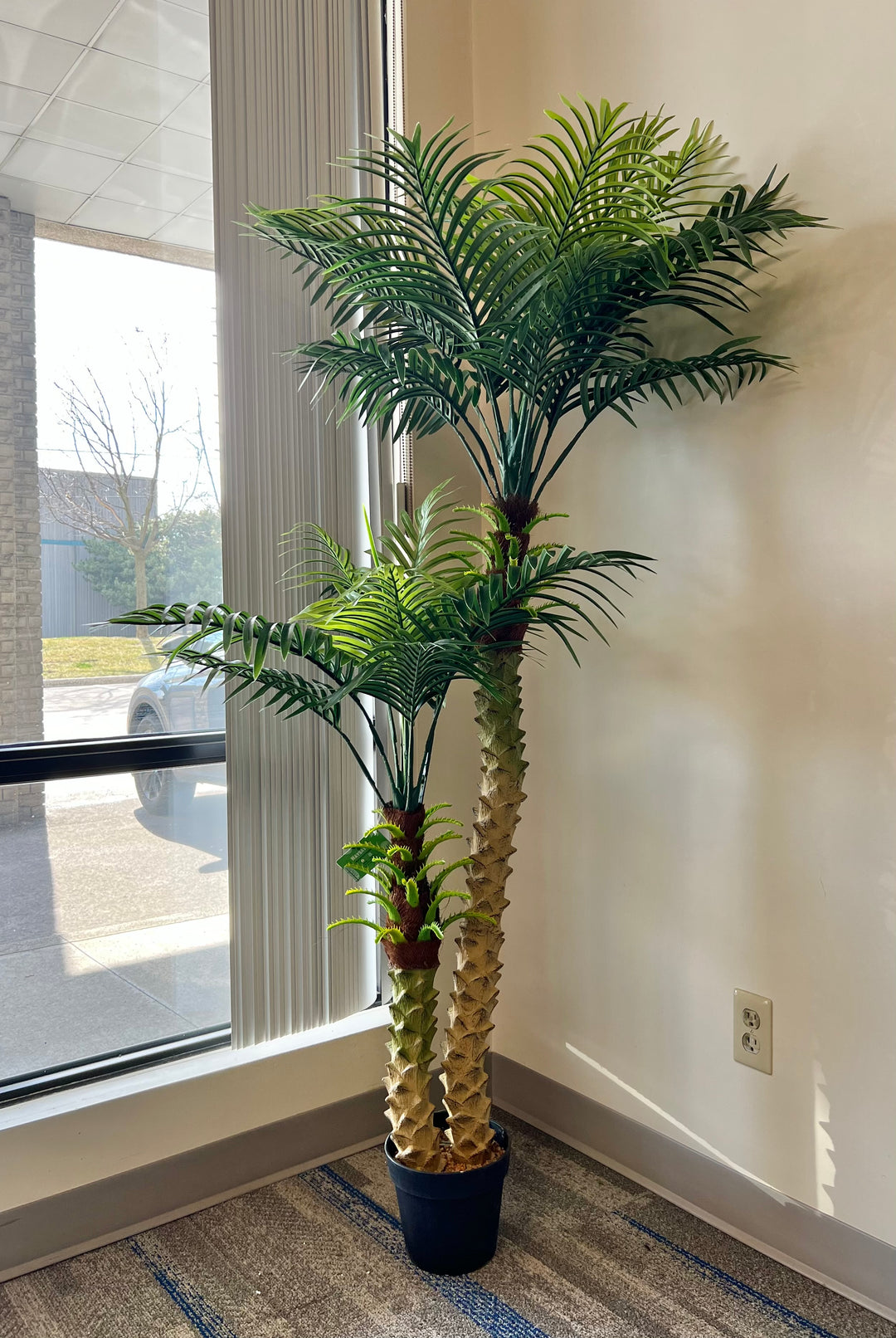 Artificial palm tree with multiple fronds displayed by a large window, adding tropical ambiance to the space.