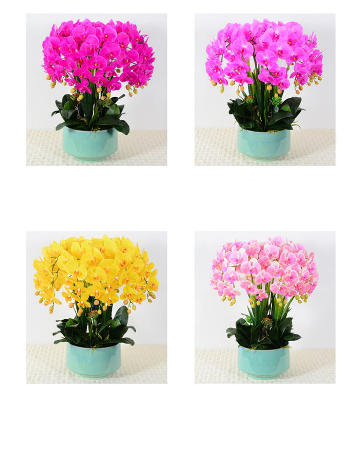 A selection of four artificial orchid arrangements in white planters, featuring vibrant orchid colors like white, pink, and fuchsia. Frequently asked question: What are the best colors for artificial orchids to match different interior decor styles?