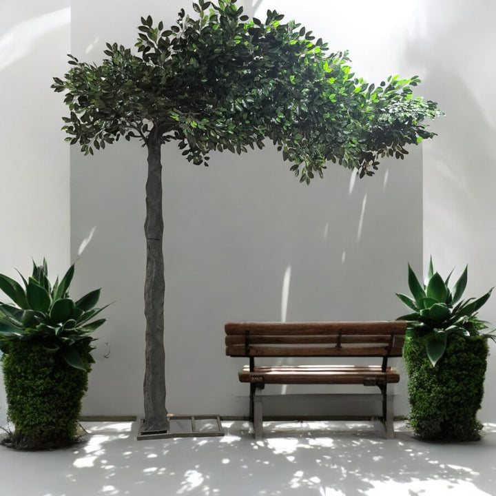 Artificial green ficus arch tree with lush foliage providing a serene natural setting for weddings or events, complemented by a wooden bench and vibrant potted plants.