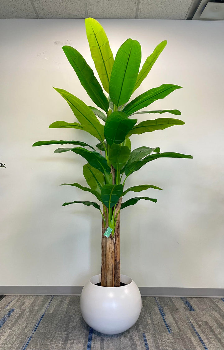 Tall artificial banana tree in a sleek white pot, featuring vibrant green leaves and a natural-looking trunk.