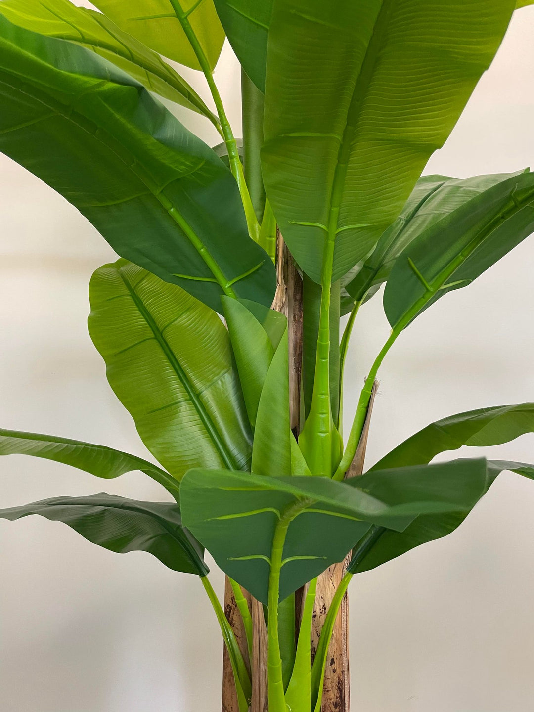 Close-up view of lush green leaves of an artificial banana tree, showcasing realistic details and vibrant foliage.