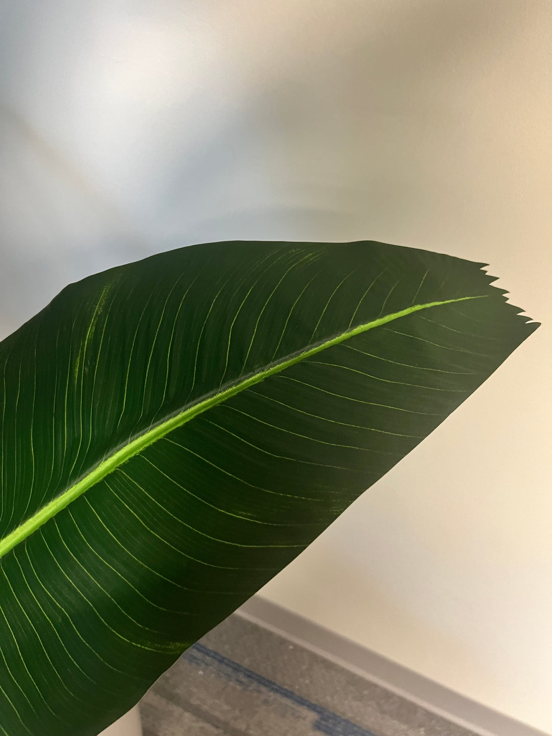 Close-up view of a single large green leaf from an artificial bird of paradise plant, showcasing the realistic texture and vein details.
