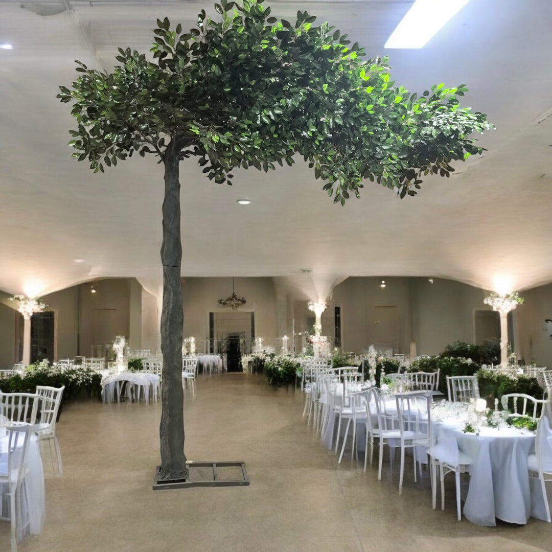 An 8ft artificial arch ficus tree with lush green leaves, displayed indoors at a event with tables set up for a banquet.