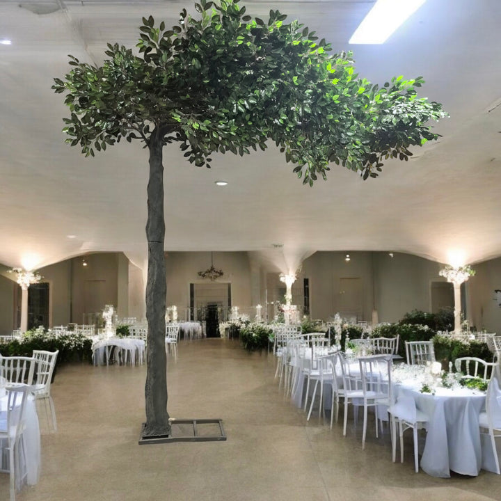 An 8ft artificial arch ficus tree with lush green leaves, displayed indoors at a event with tables set up for a banquet.
