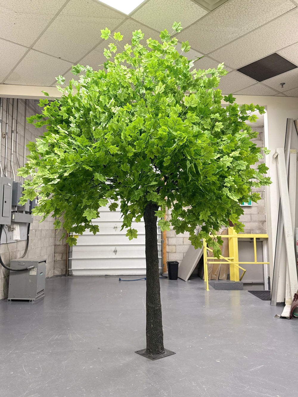 Artificial green maple  tree in an indoor setting with a gray floor and white walls.
