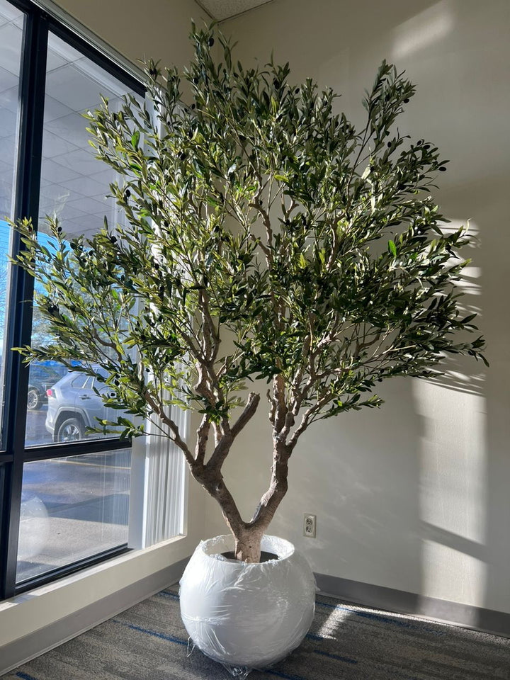 10ft artificial olive tree with realistic olives and twisted trunk