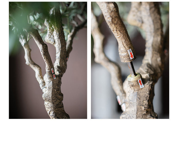 Close of 10ft twisted trunk olive tree branches, explaining the installation of the faux tree.