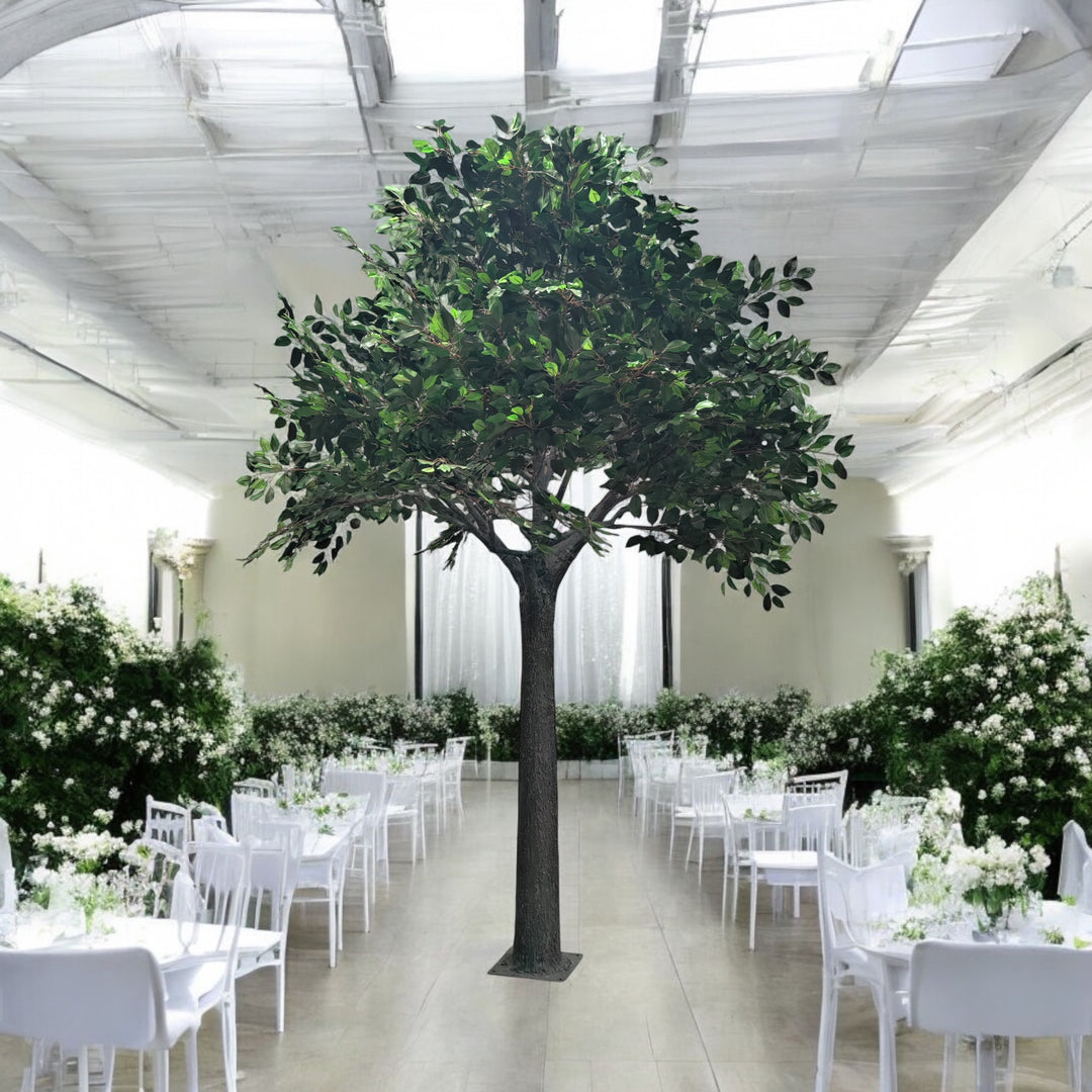 10ft Straight Trunk Ficus Tree placed in the center of a wedding venue adding greenery.