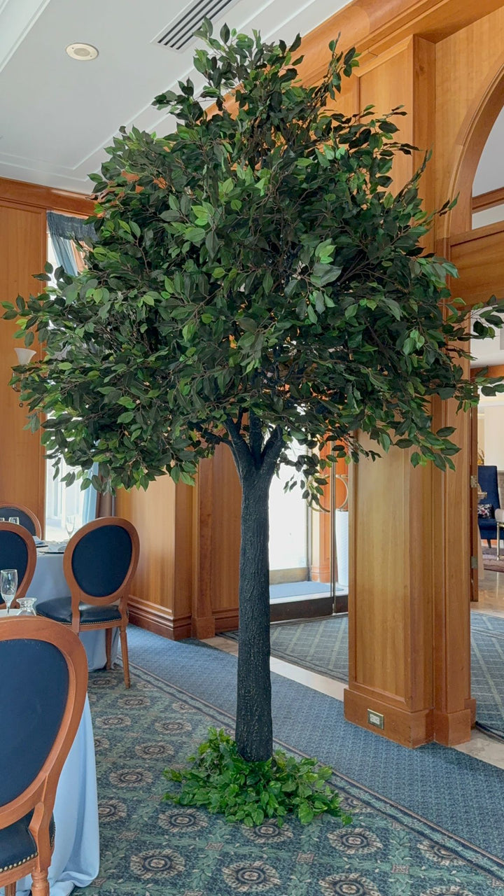 10ft straight trunk artificial ficus tree used for indoor décor at an event venue.