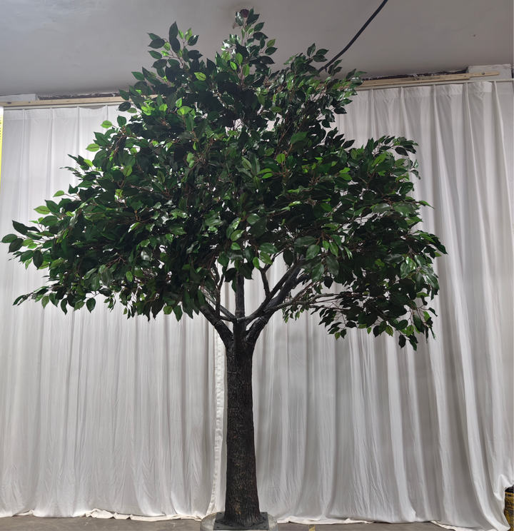 8ft artificial Ficus tree  setup in indoor event venue – GTA