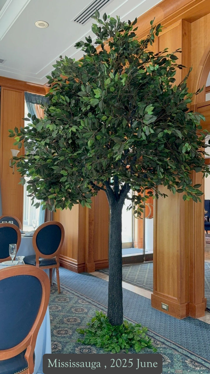 Decorative 8ft artificial ficus tree rental for weddings and events in GTA