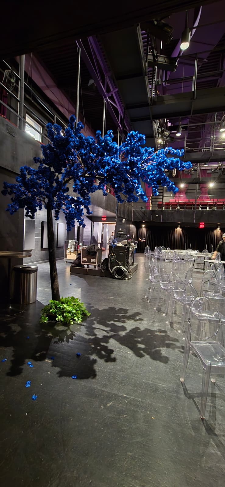 Modern indoor setting with our  royal  blue arch cherry blossom