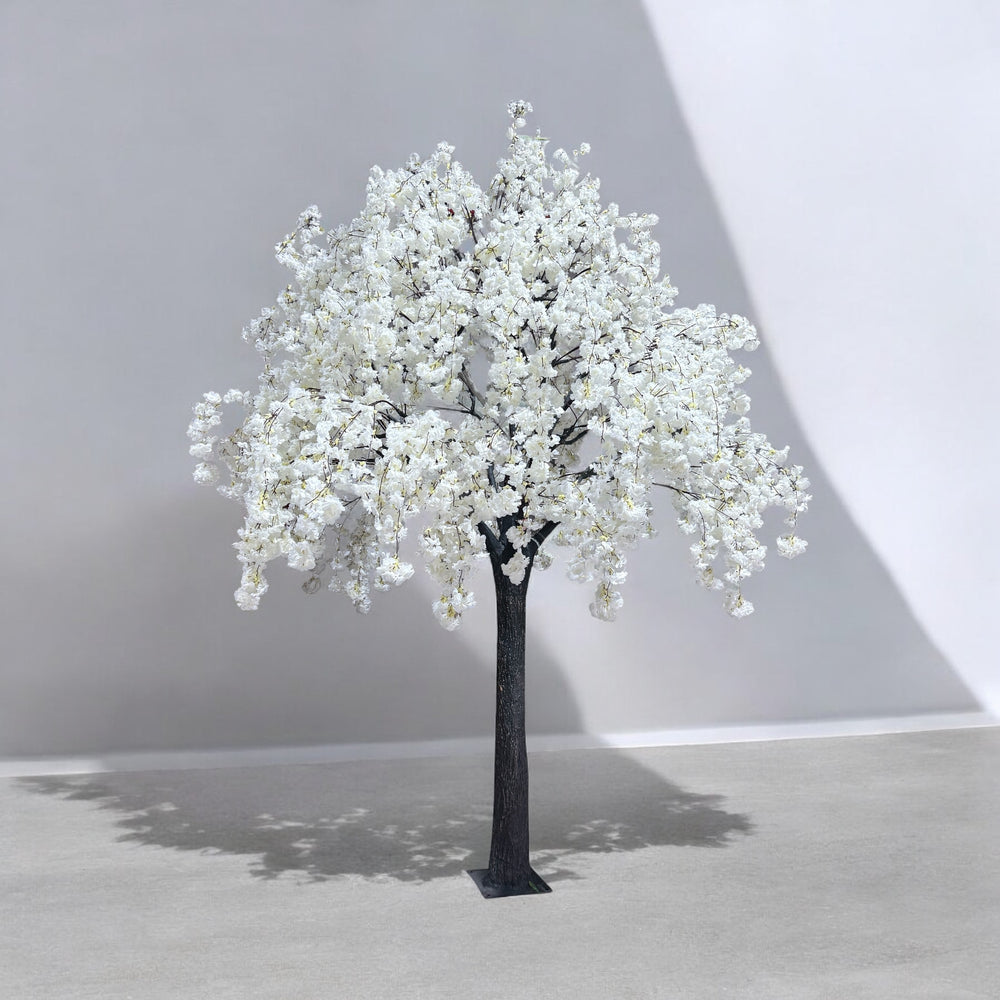 tall white weeping cherry blossom event tree with realistic trunk and cascading blooms
