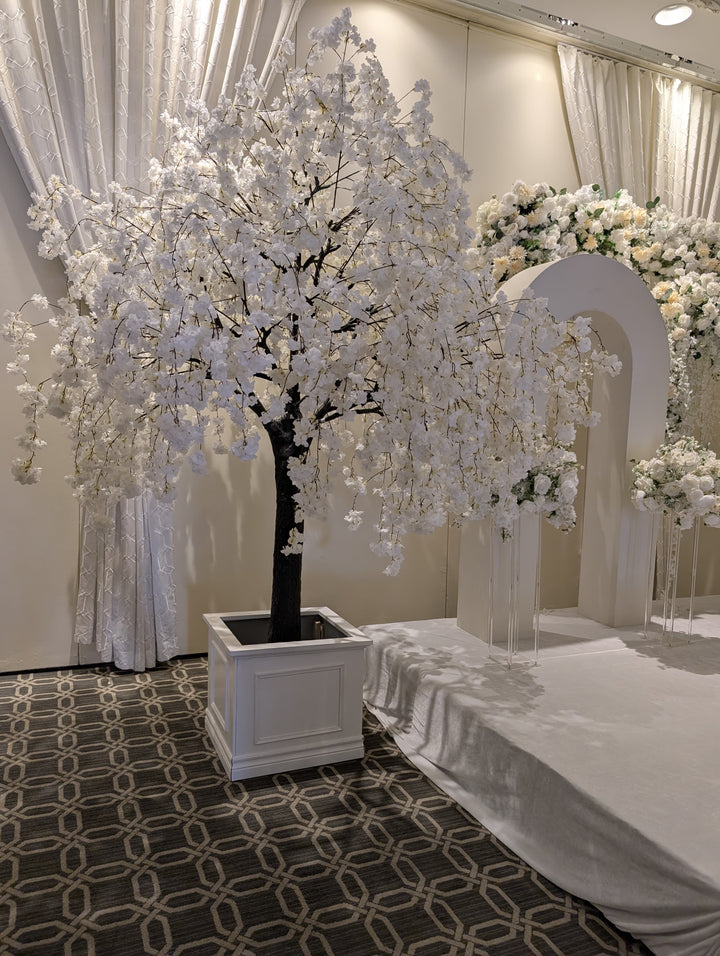 Decorative white floral  weeping cherry blossom tree in a pot on a patterned carpet with draped curtains in the background in Toronto.