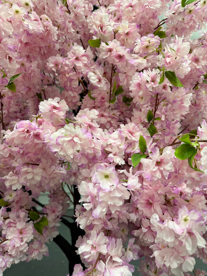 Close-up of a  purple flowering cherry blossom  tree or faux blossom arrangement with dense clusters of pale pink blossoms, small green leaves, and dark branches.