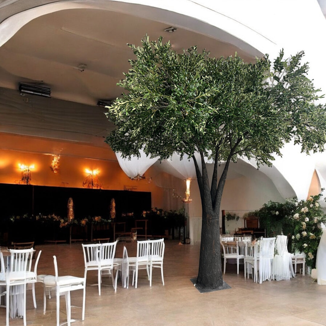 Decorative olive tree in a room with white chairs and tables, possibly for an event or ceremony.
