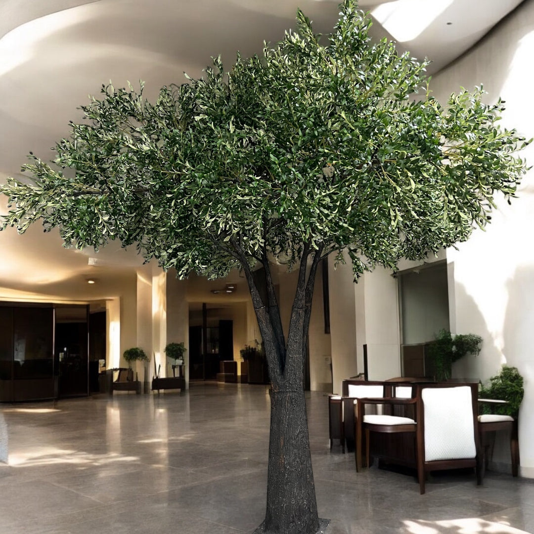 Large indoor olive tree in a modern building lobby with chairs and tables.