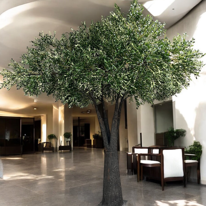 Large indoor olive tree in a modern building lobby with chairs and tables.