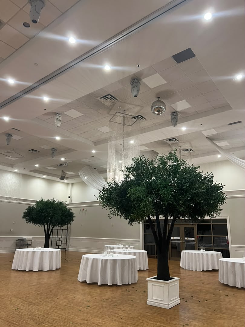A large artificial olive tree in a white square planter displayed in a spacious event hall with white draped tables, a wood floor, and a high ceiling with multiple lights.