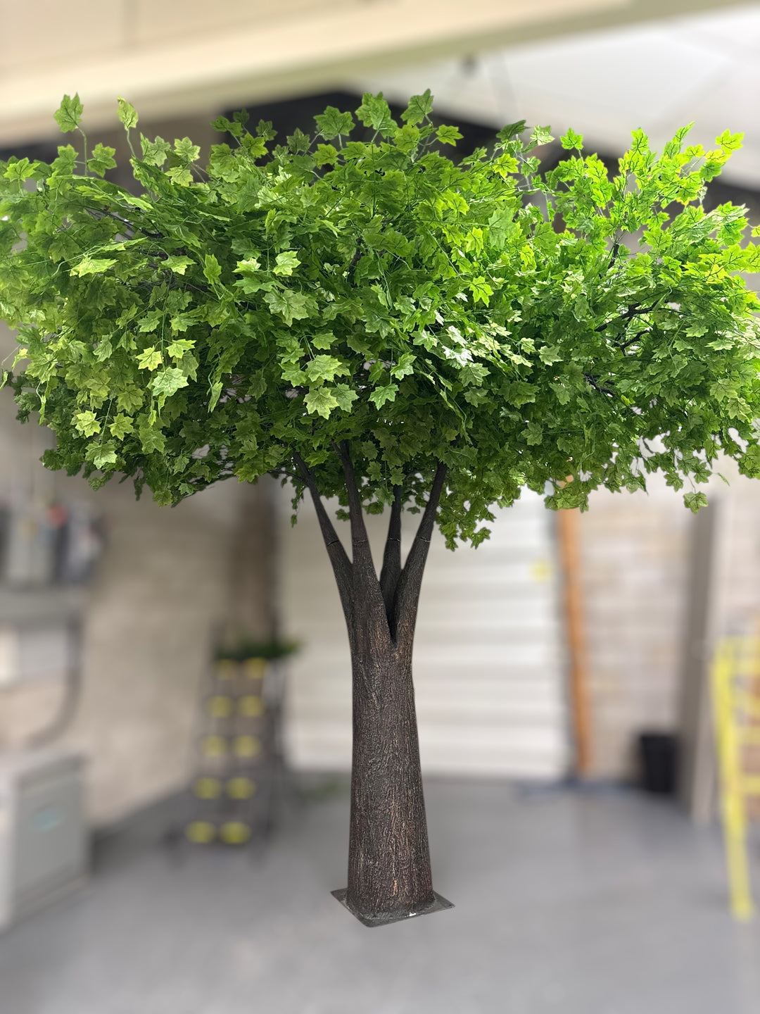 Artificial green maple tree in an indoor setting with a blurred background