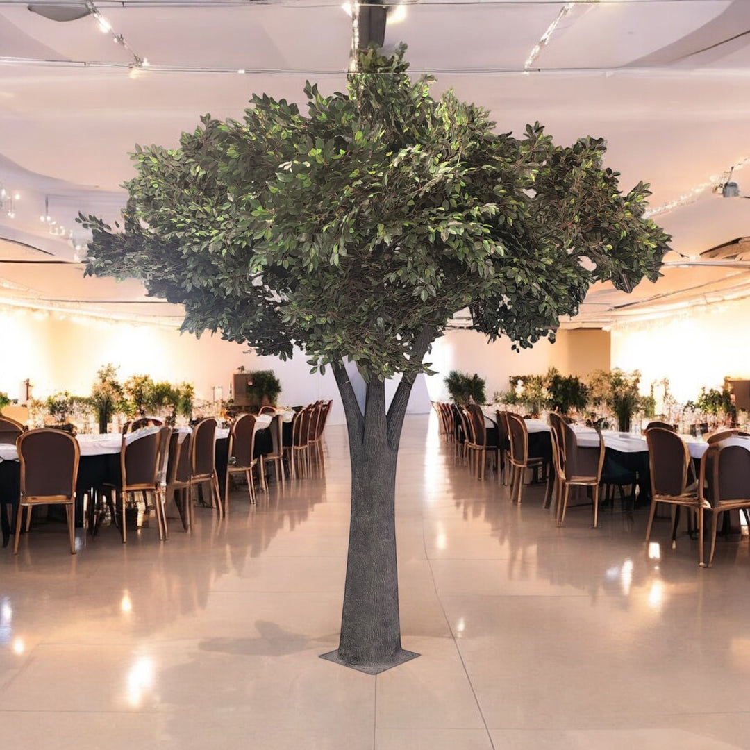 Decorative green ficus tree in a large indoor space with tables and chairs.