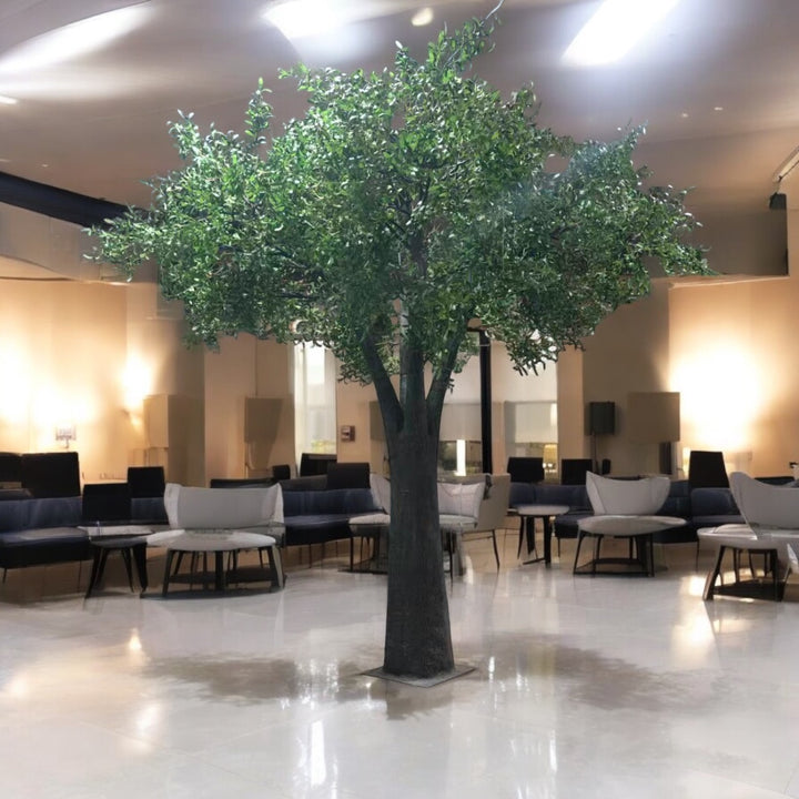 Decorative olive tree in a modern indoor setting with seating arrangements.