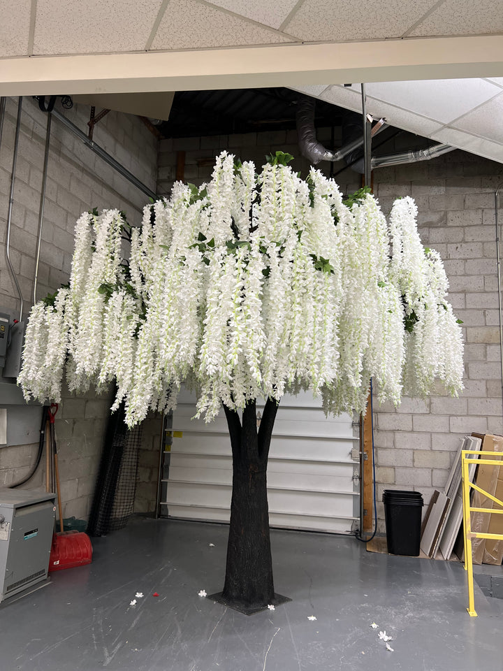 white wisteria flowers tree  in an outdoor setting with a building and ladder in the background.