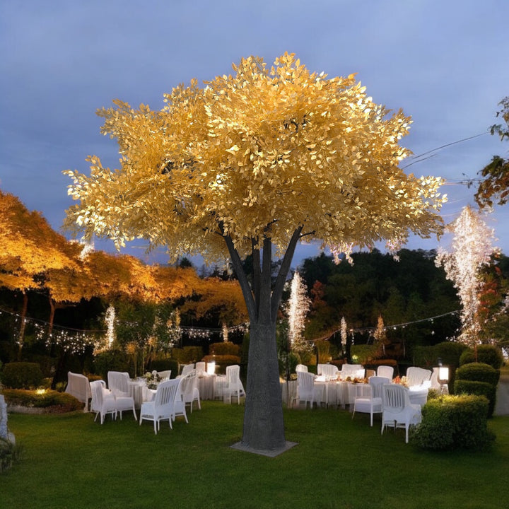 Decorative ficus tree with lights in an outdoor setting with chairs and tables.