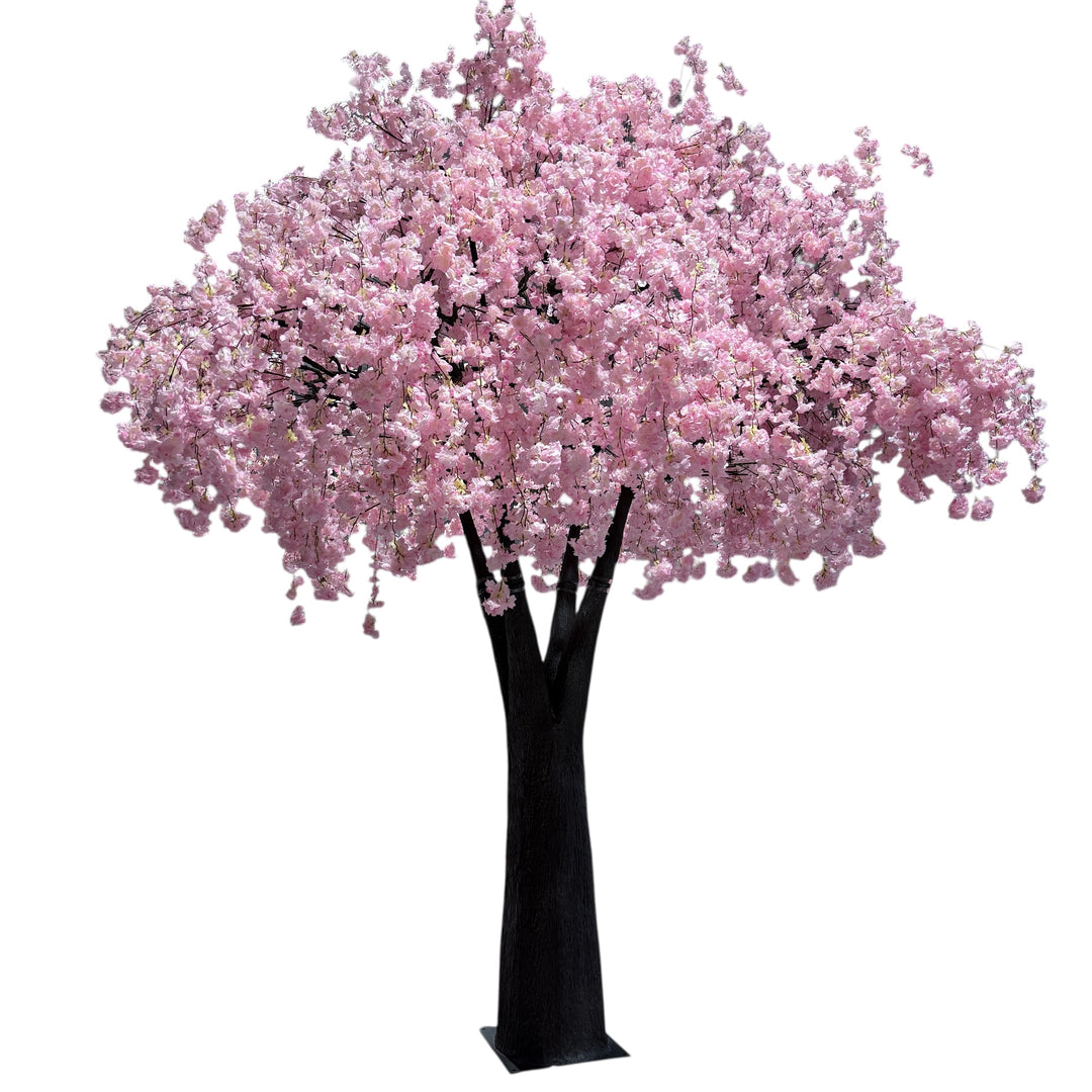 close-up of soft pink weeping cherry blossoms on realistic trunk against a neutral white background.