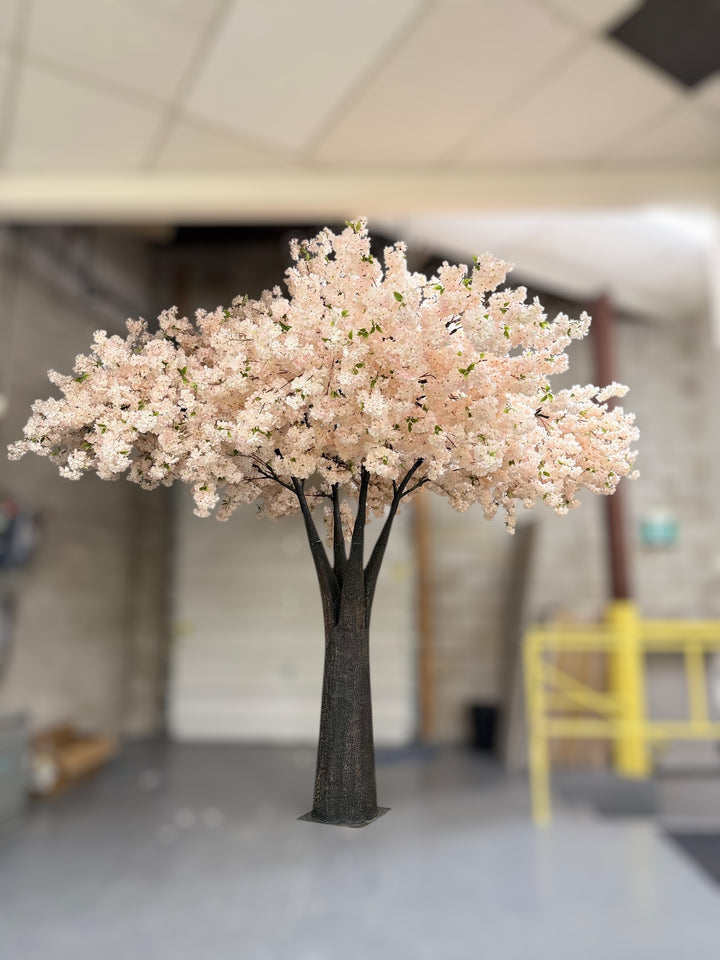 15ft cherry blossom tree indoors with a blurred background in a warehouse setting
