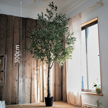 Charger l&#39;image dans la galerie, Artificial Olive Tree rustic look- 10ft (300cm)
