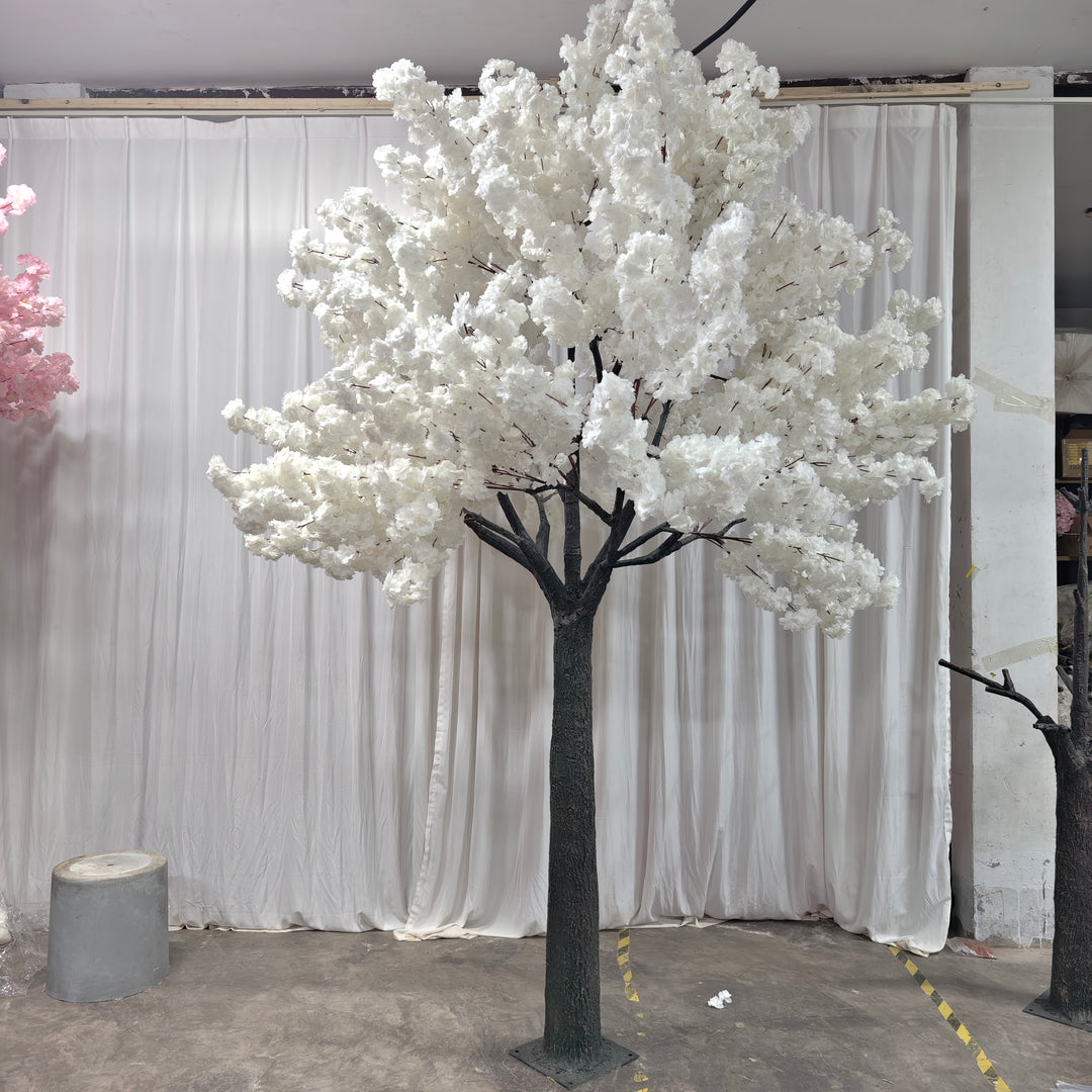 Tall Elegant White cherry blossom tree infront of white drapey backdrop.