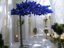 Load image into Gallery viewer, 10ft cherry blossom rental - Dark Blue
