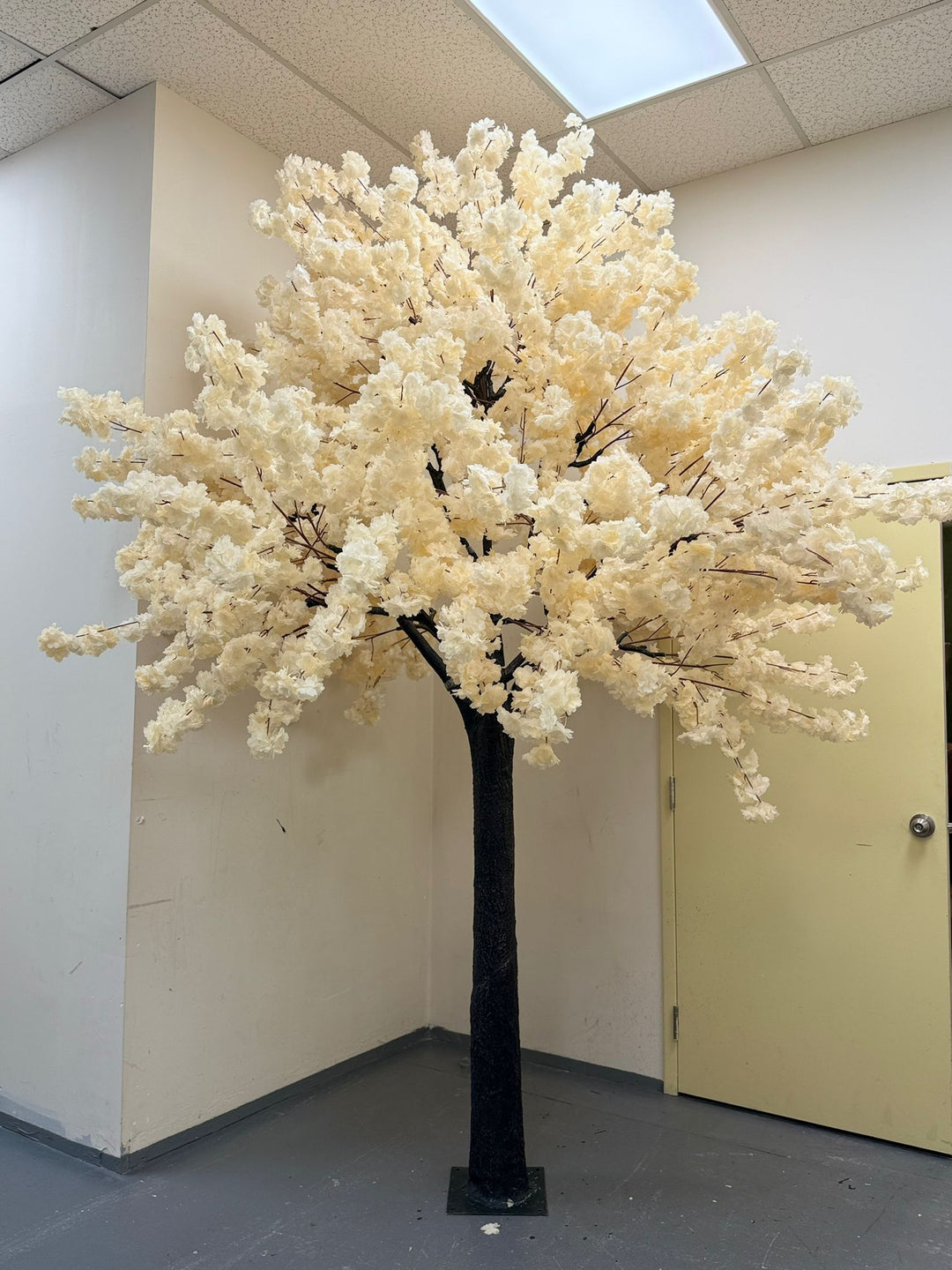 Artificial white flowering tree in an indoor setting with a door and ceiling tiles in the background.