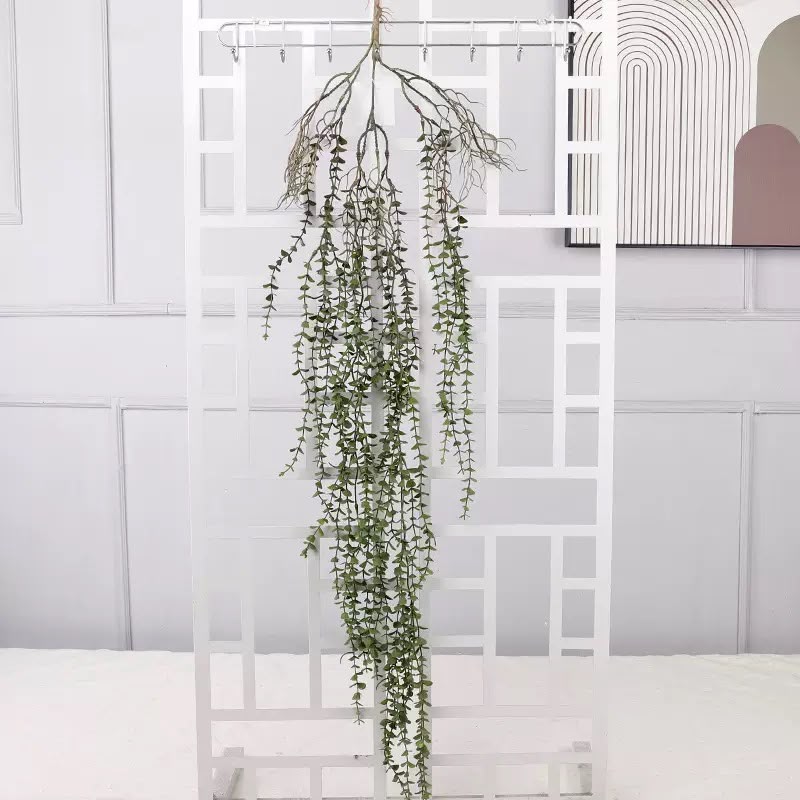 A long trailing green plant with many slender leaves hanging from a white metal display stand in a bright indoor setting.