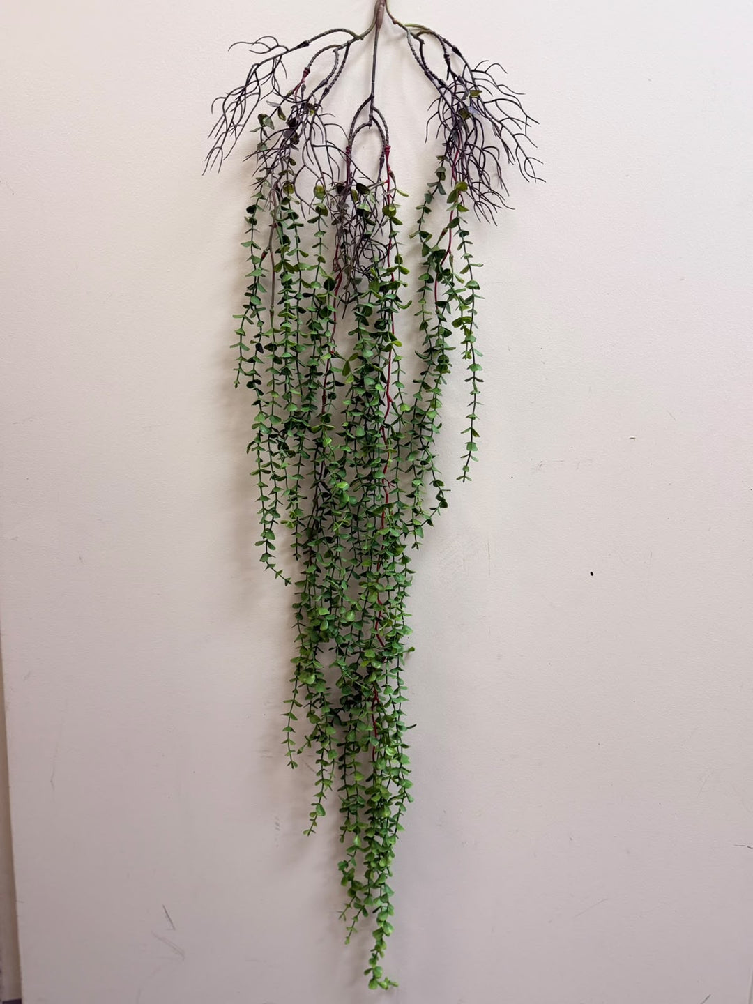 A hanging artificial trailing vine plant with dense green leaves and dark brown roots, displayed against a plain off-white wall.