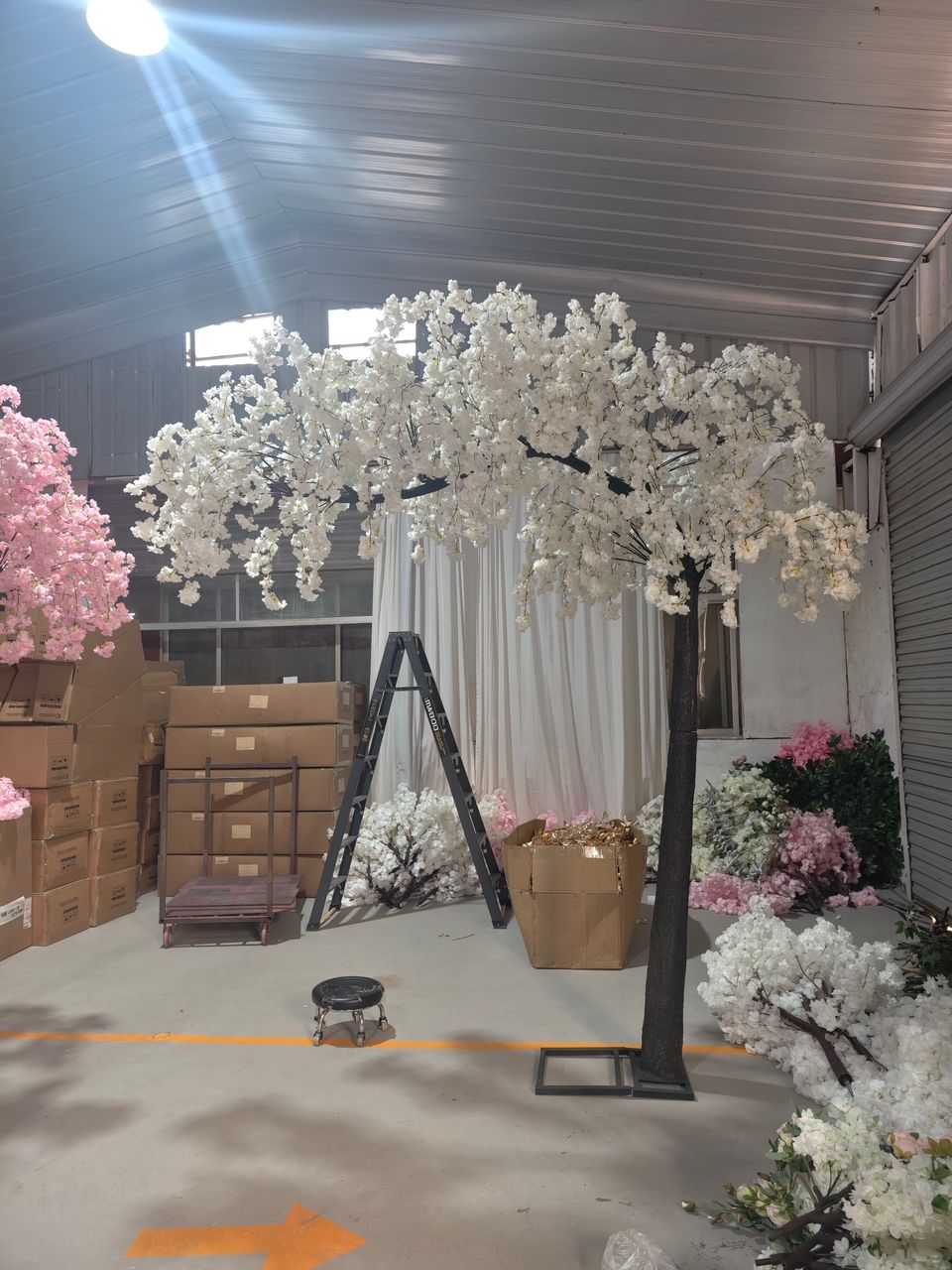 Arch weeping white cherry blossom tree stored in a warehouse.