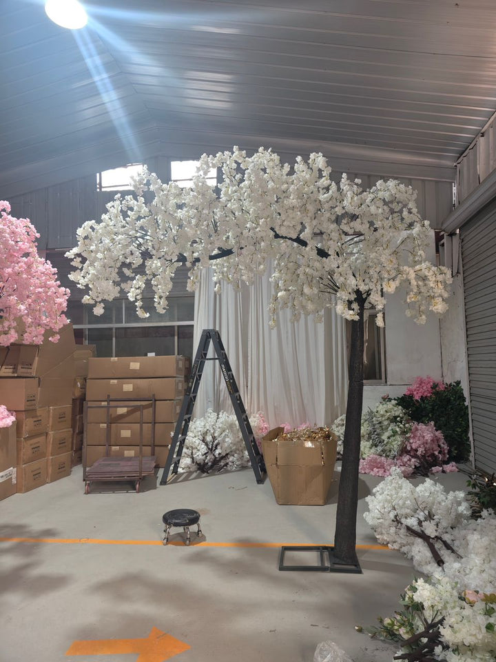 Arch weeping white cherry blossom tree stored in a warehouse.