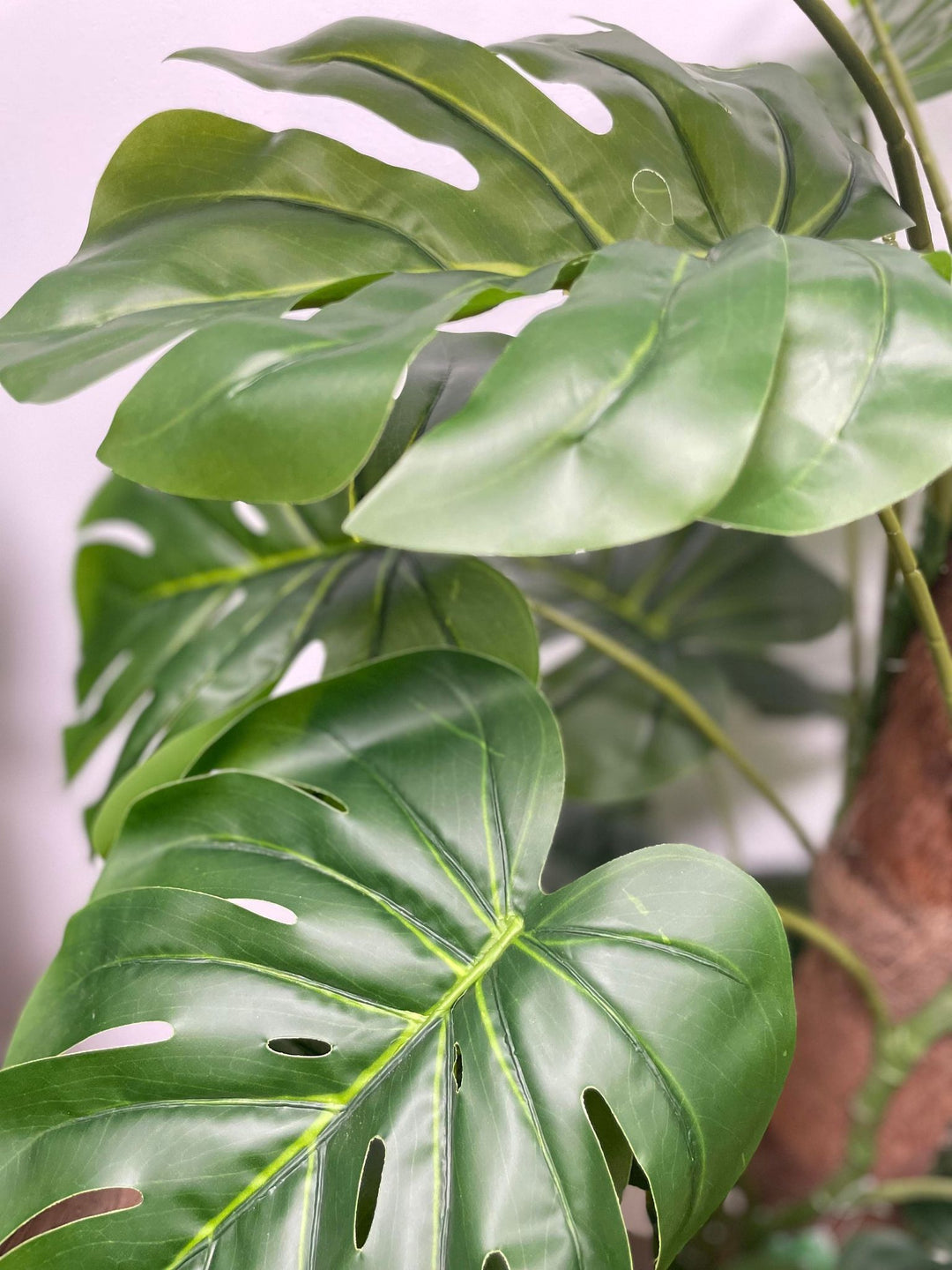 Close-up of a tag attached to an artificial Monstera plant's stem. What are the benefits of artificial plants for indoor spaces?