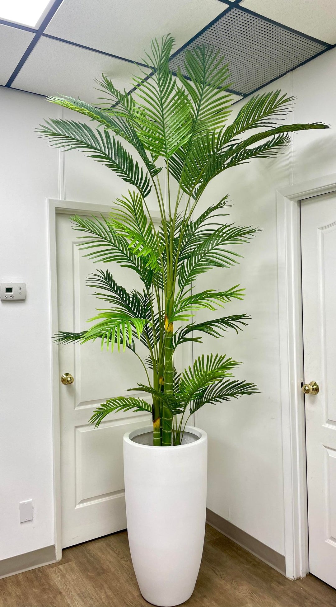 A tall artificial palm tree displayed in a sleek white planter in a bright office space. The realistic-looking palm complements the minimalistic decor, positioned between two white doors with a thermostat on the wall to the left. The vibrant green leaves add a natural touch to the modern setting.