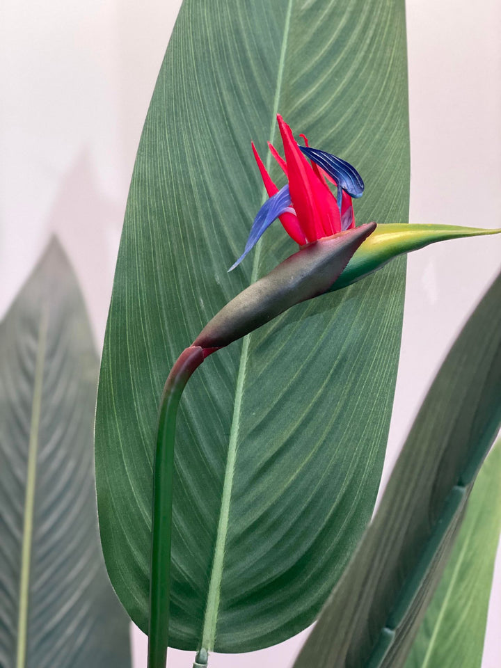 Close-up of a vibrant red artificial bird of paradise flower with green leaves in the background. The lifelike design of the flower and foliage adds a touch of exotic beauty, making it a striking element of indoor decor.