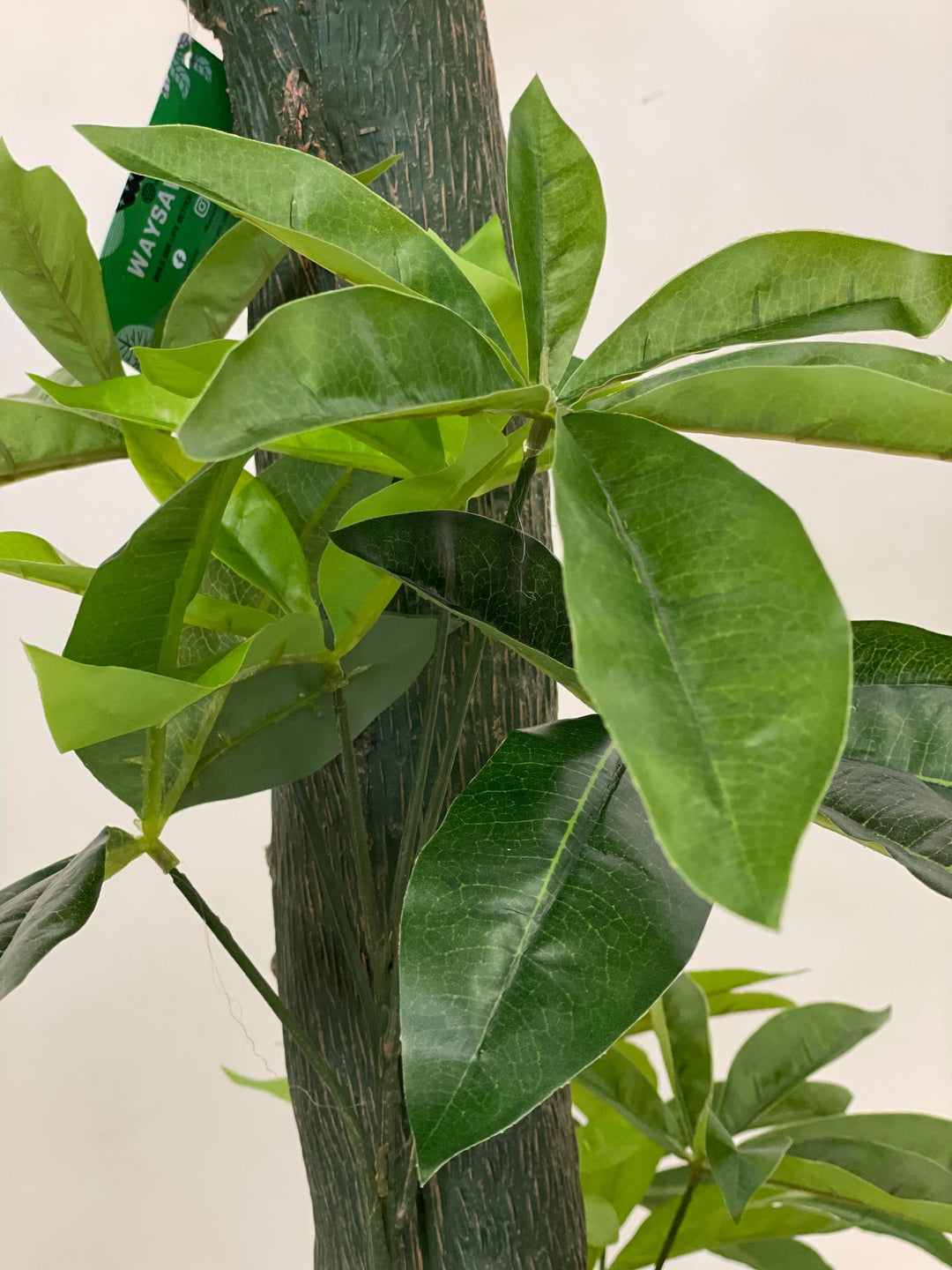 Alt text: "Detailed view of artificial money tree leaves against a textured trunk, highlighting the vibrant green foliage and lifelike appearance, ideal for indoor decor."