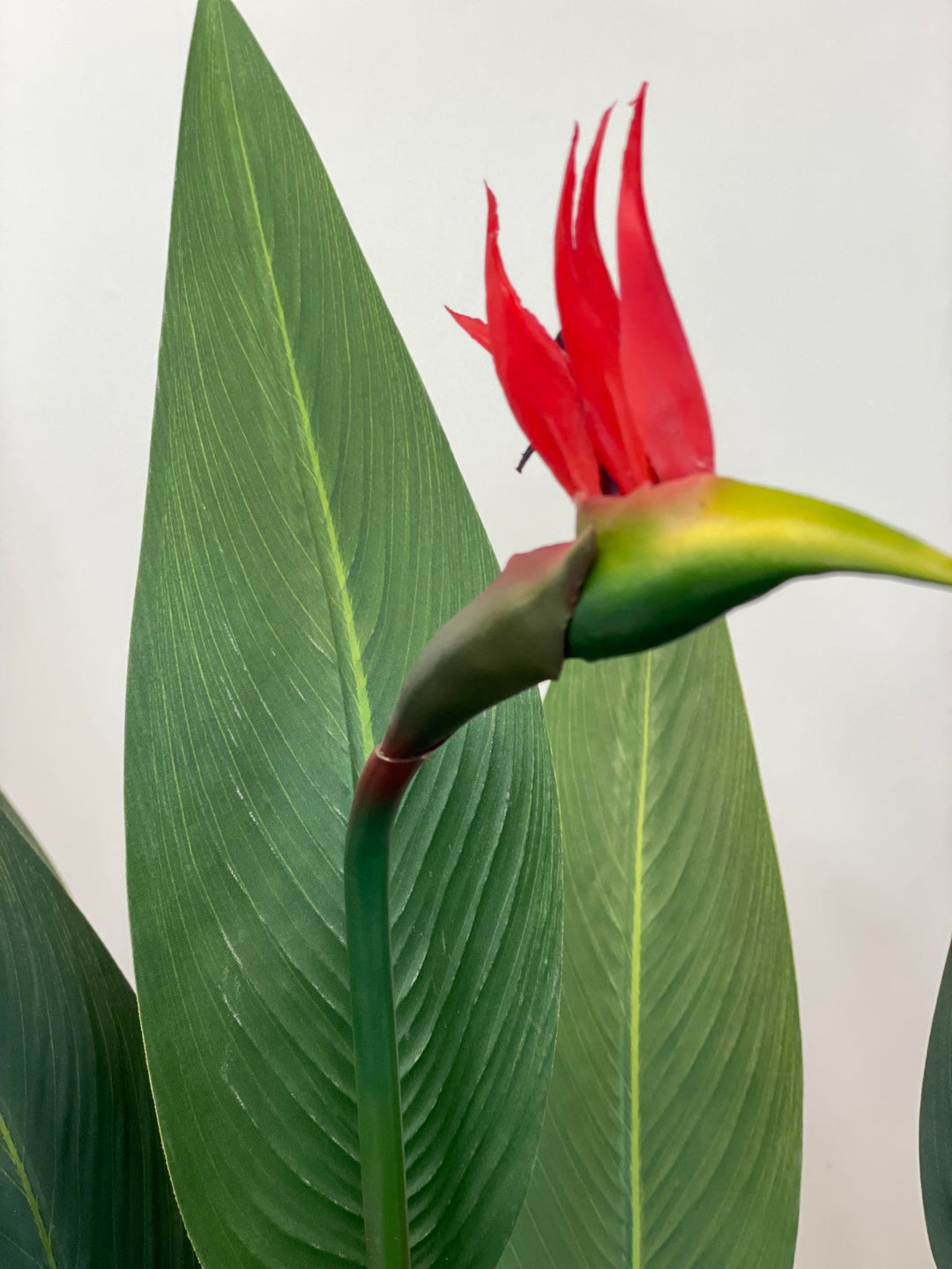 Close-up view of an artificial bird of paradise flower with vibrant red petals and green leaves in the background, showcasing the detailed and realistic design of the plant