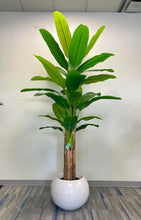 Load image into Gallery viewer, Artificial Banana Tree - 10&#39;
