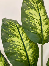 Charger l&#39;image dans la galerie, Close-up of the vibrant, variegated leaves of a tall artificial plant, showcasing the intricate patterns of green and yellow, adding a touch of natural beauty to the space.
