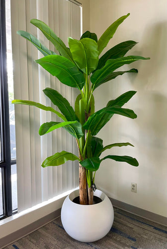 Artificial banana tree with lush green leaves and a realistic trunk in a modern white pot, placed beside a window with vertical blinds, enhancing indoor decor