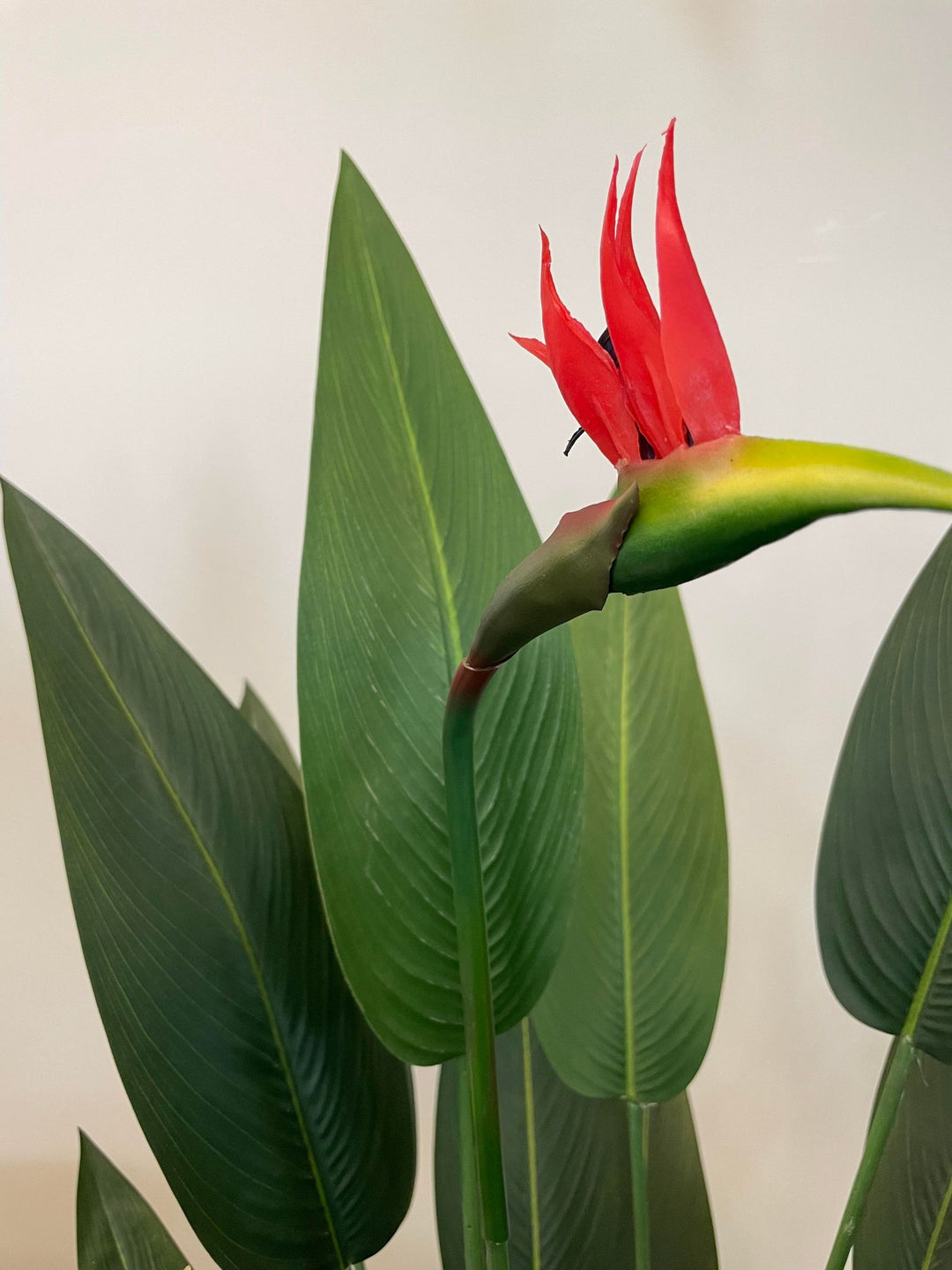 Close-up view of an artificial bird of paradise flower with vibrant red petals and green leaves in the background, showcasing the detailed and realistic design of the plant