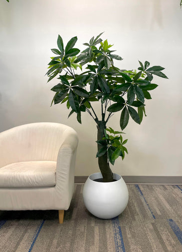 Artificial money tree with lush green leaves in a modern white planter next to a cream-colored armchair in a contemporary indoor setting