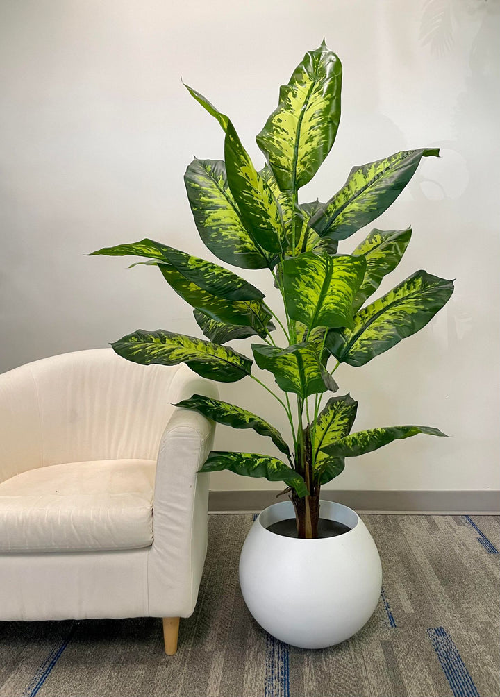 A tall, vibrant green plant with large variegated leaves placed in a sleek silver pot next to a white armchair.